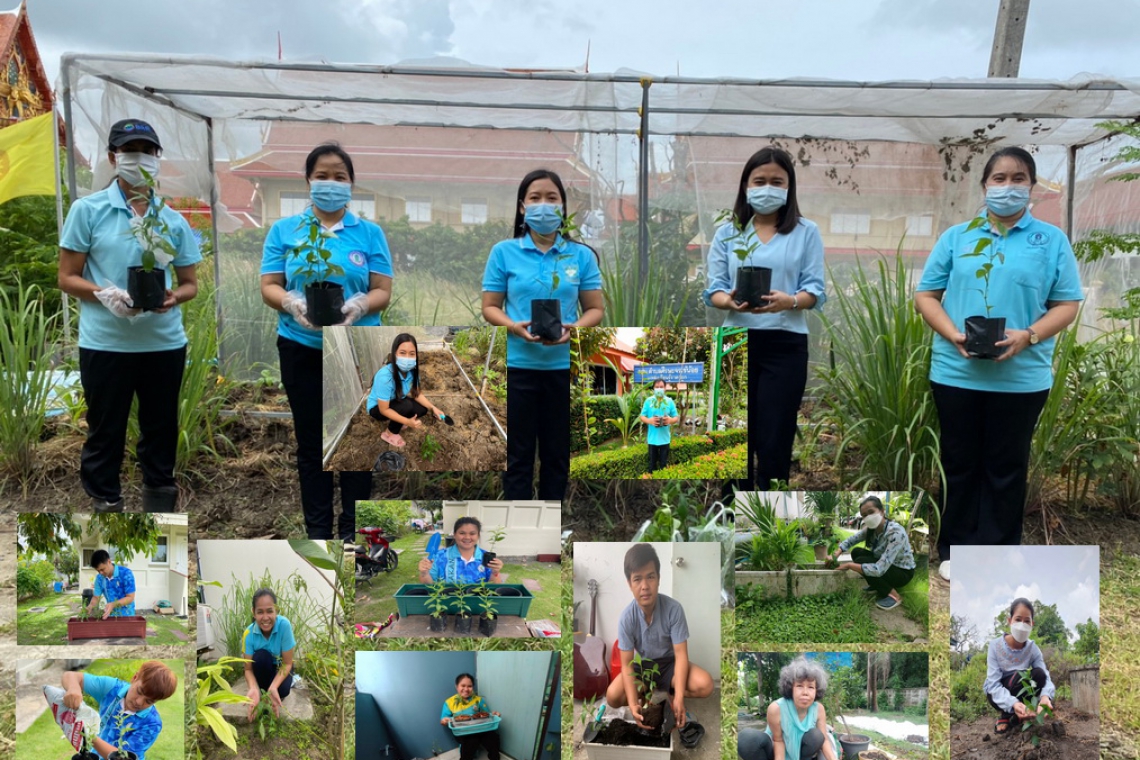 กศน.อำเภอบางเสาธง ร่วม กิจกรรม“ล้านเมล็ดพันธุ์สู้ภัย ศธ. ห่วงใย ต้านภัยโควิด”